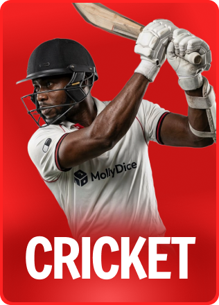 Cricket