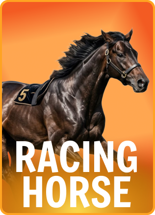 Racing Horse